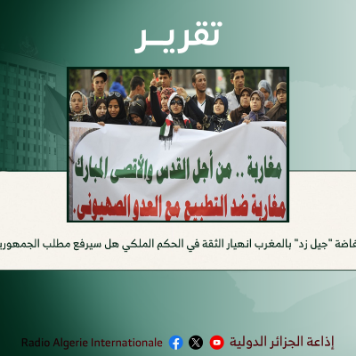 تقرير