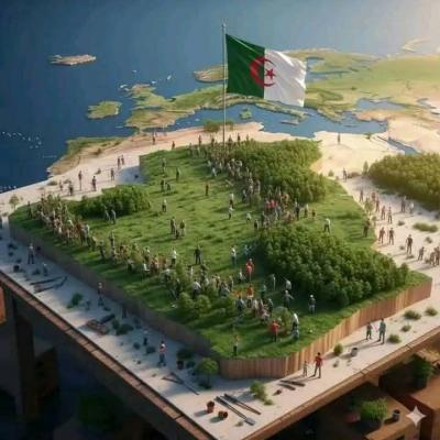 اليوم الوطني للشجرة موعد للغرس و نشر ثقافة التشجير ربورتاج