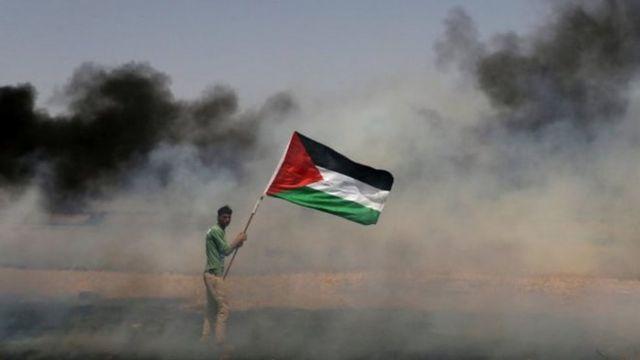 علم فلسطين علم فلسطين