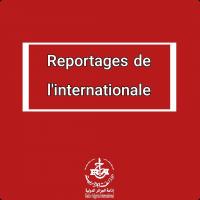 reportages