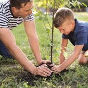 قيم المواطنة