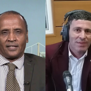 ضيف الدولية