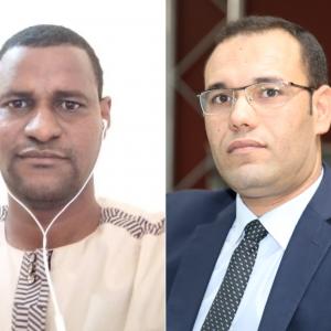 ضيف الدولية