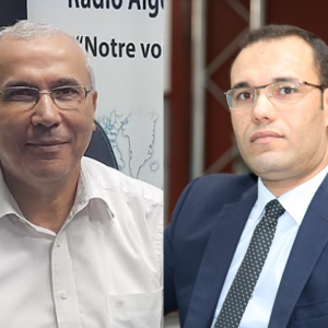 ضيف الدولية