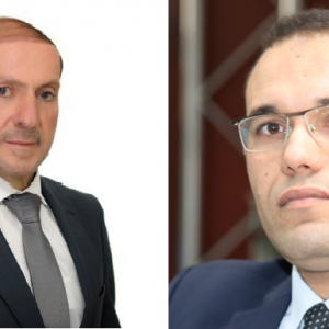 محمود الجمل