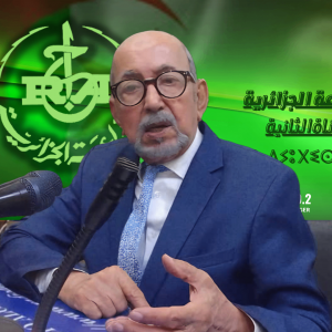 Ali Bey Nasri, expert en commerce international