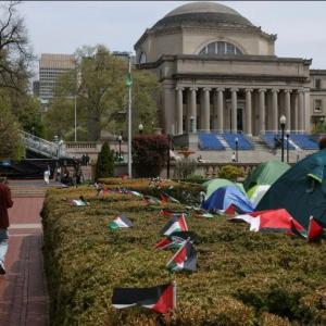 حرب المؤثرين و التضامن مع غزة