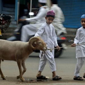 Fiesta del Sacrificio