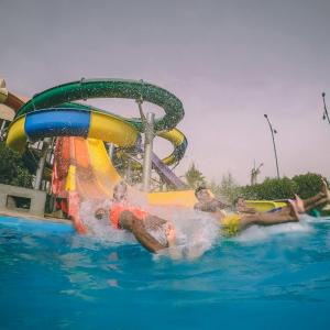 وجهات الدولية