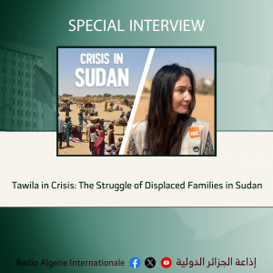 Tawila in Crisis: The Struggle of Displaced Families in Sudan