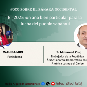 FOCO SOBRE EL SAHARA OCCIDENTAL