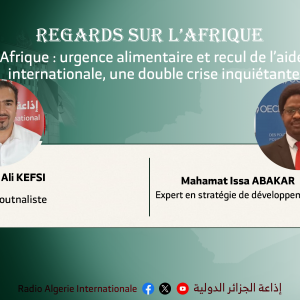 Regards sur L'afrique