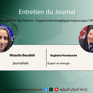 Trans-Saharan Gas Pipeline : l’opportunité énergétique majeure pour l’Afrique