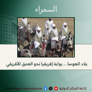 بلاد الهوسا ... بوابة إفريقيا نحو العمق الأفريقي.