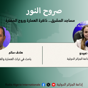 باحث في تراث العمارة والفنون