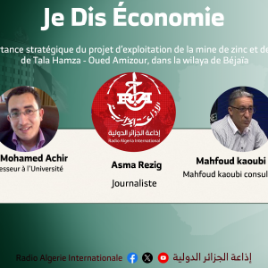 Je dis économie :L'importance stratégique du projet d’exploitation de la mine de zinc et de plomb de Tala Hamza - Oued Amizour, dans la wilaya de Béjaïa