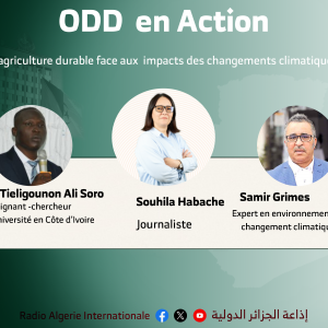 ODD EN ACTION :l’agriculture durable face aux  impacts des changements climatiques