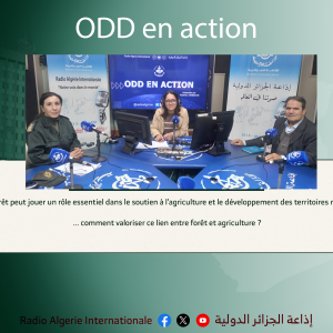 ODD EN ACTION :La forêt peut jouer un rôle essentiel dans le soutien à l’agriculture et le développement des territoires ruraux... comment valoriser ce lien entre forêt et agriculture ?