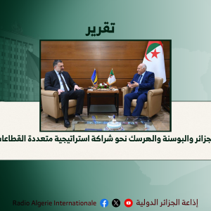 تقرير