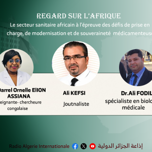 Regards sur L'afrique