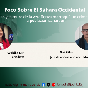 wahiba