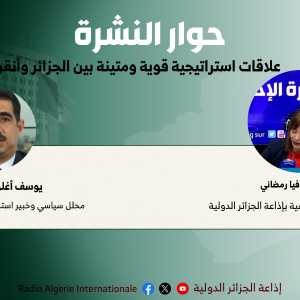 المحلل السياسي والخبير الإستراتيجي يوسف أغلو يثمن قوة العلاقات الإستراتيجية الجزائرية التركية