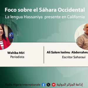 wahiba