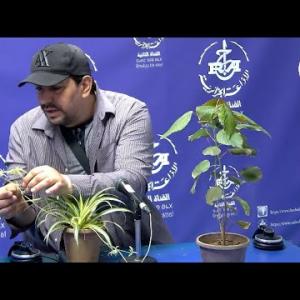 Preview image for the video ""Acalypha indica et plante araignée" avec Guerfi Samir Formateur à HAMA Jardin d'essai".