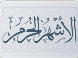 ربورتاج