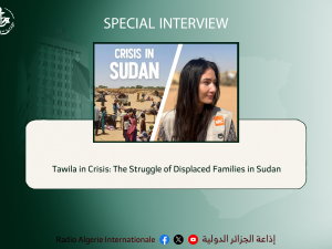 Tawila in Crisis: The Struggle of Displaced Families in Sudan