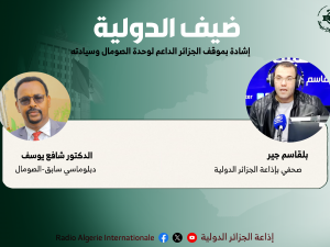 دبلوماسي سابق-الصومال