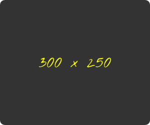 300x250