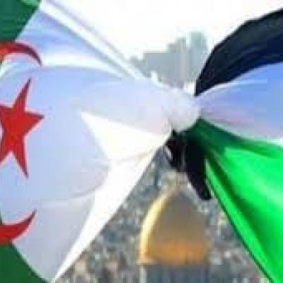 عبد الوهاب بن خليفة عن حملة جمعية الأيادي البيضاء الإغاثية لغزة ضيف النسمات