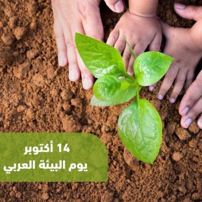 ربورتاج