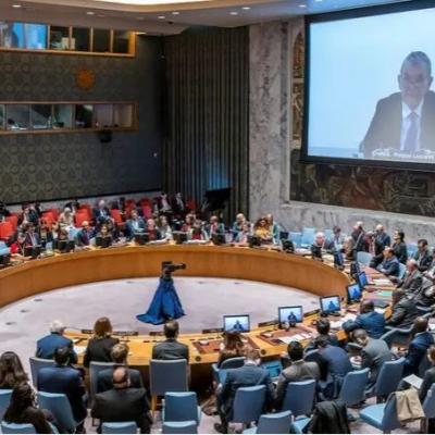 غزة في مجلس الأمن