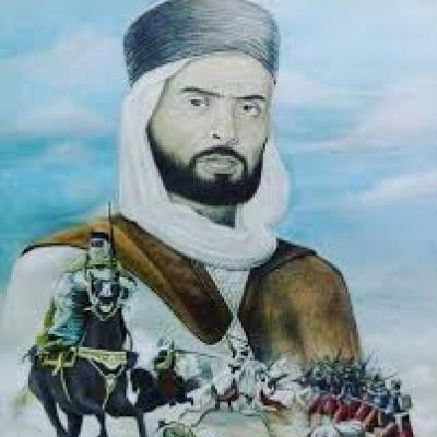 الناصر بن شهرة