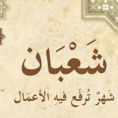 ربورتاج