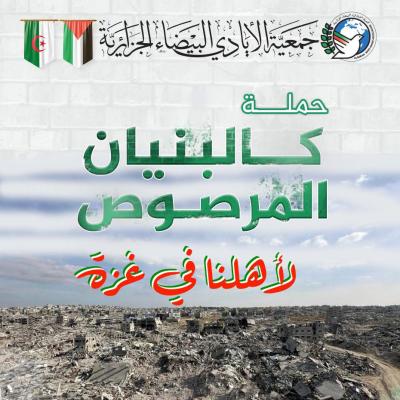 ربورتاج