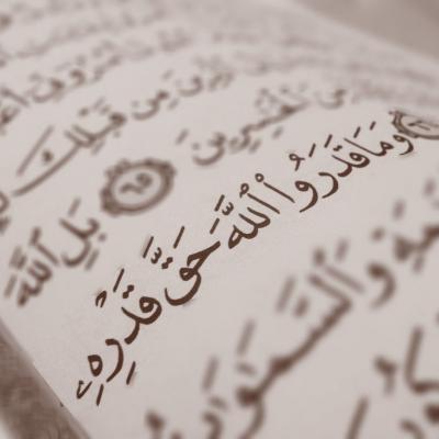 ضيف النسمات