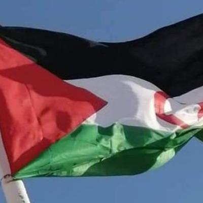 تقرير