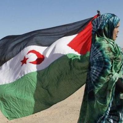 تقرير