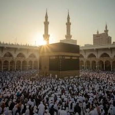 ربورتاج
