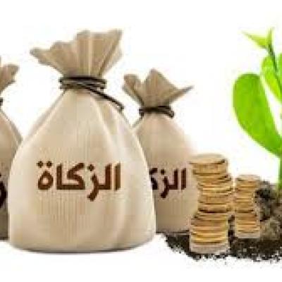 تقرير