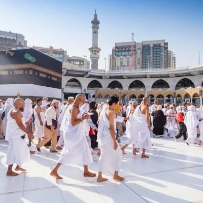 تقرير