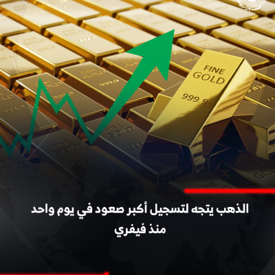 تقرير 