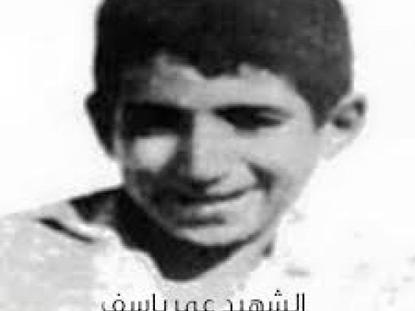 بورتري