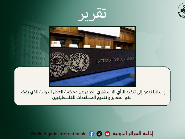 تقرير