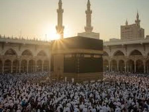 ربورتاج