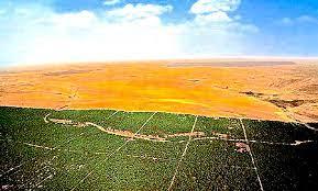  désertification. Invité : Aguentil Camelia. Institut national des formations en environnement.