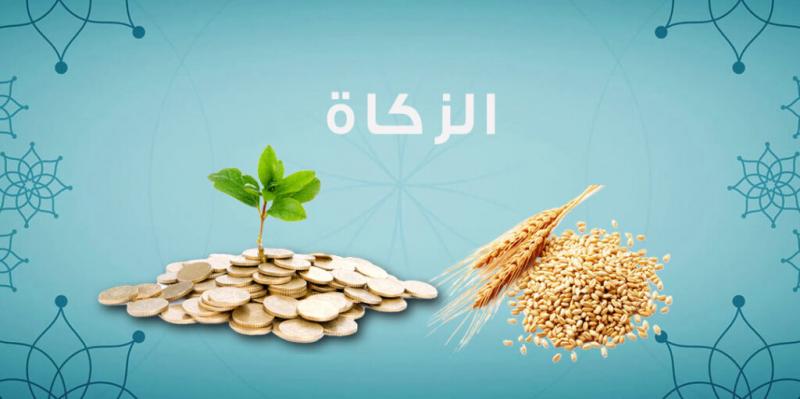 عاشوراء و زكاة المال ربورتاج